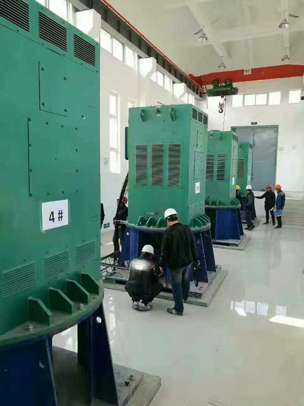 赣县某污水处理厂使用我厂的立式高压电机安装现场