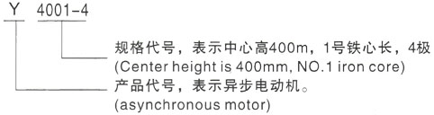 西安泰富西玛Y系列(H355-1000)高压赣县三相异步电机型号说明
